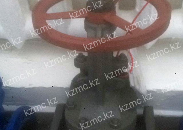 Задвижка ЗМС DN 65 PN 14 ст10